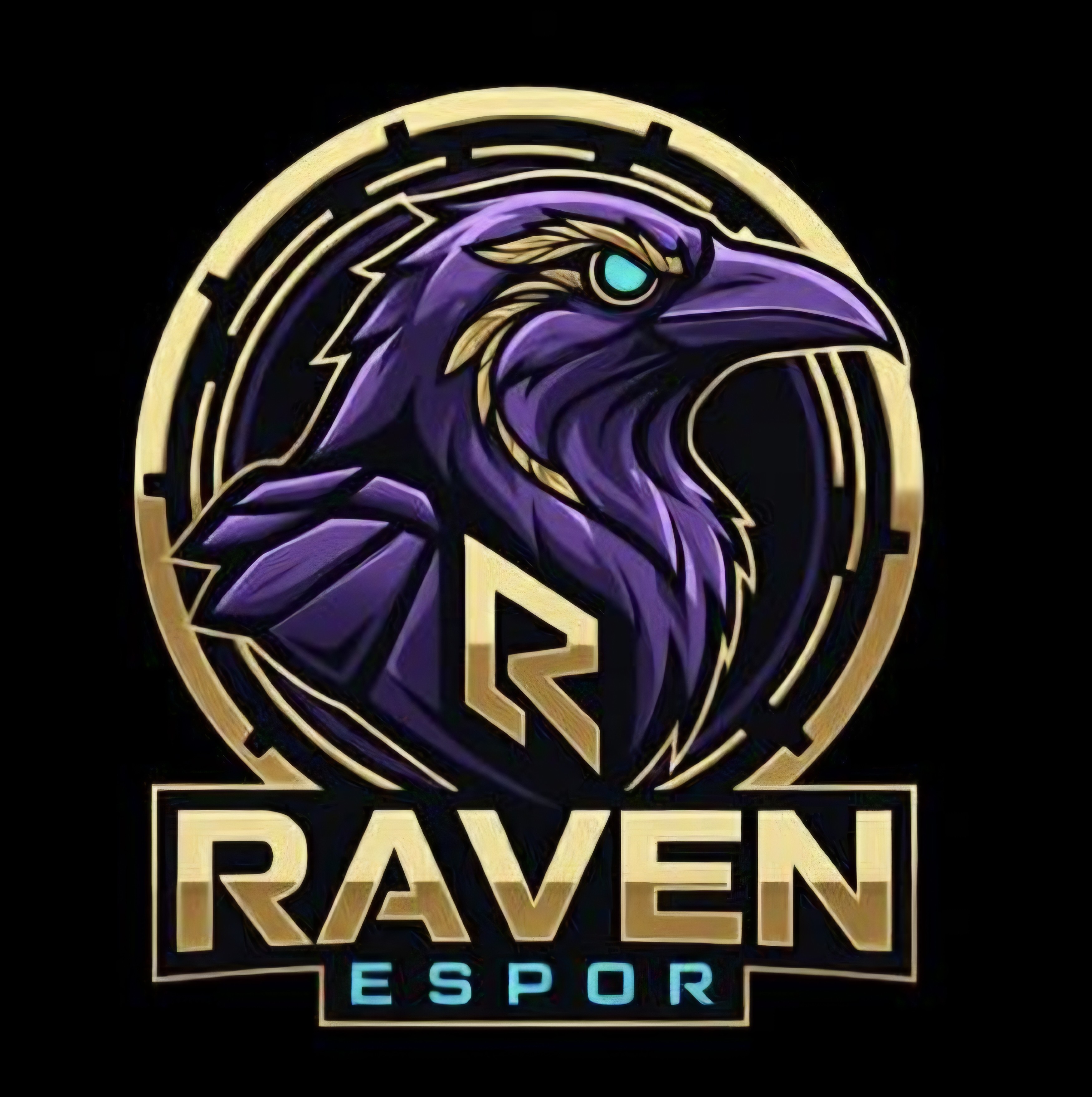 Raven Academy takım logosu